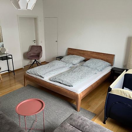 Penthouse Perfekt Fuer Teams, Familien Und Gruppen Διαμέρισμα Bad Mergentheim Εξωτερικό φωτογραφία