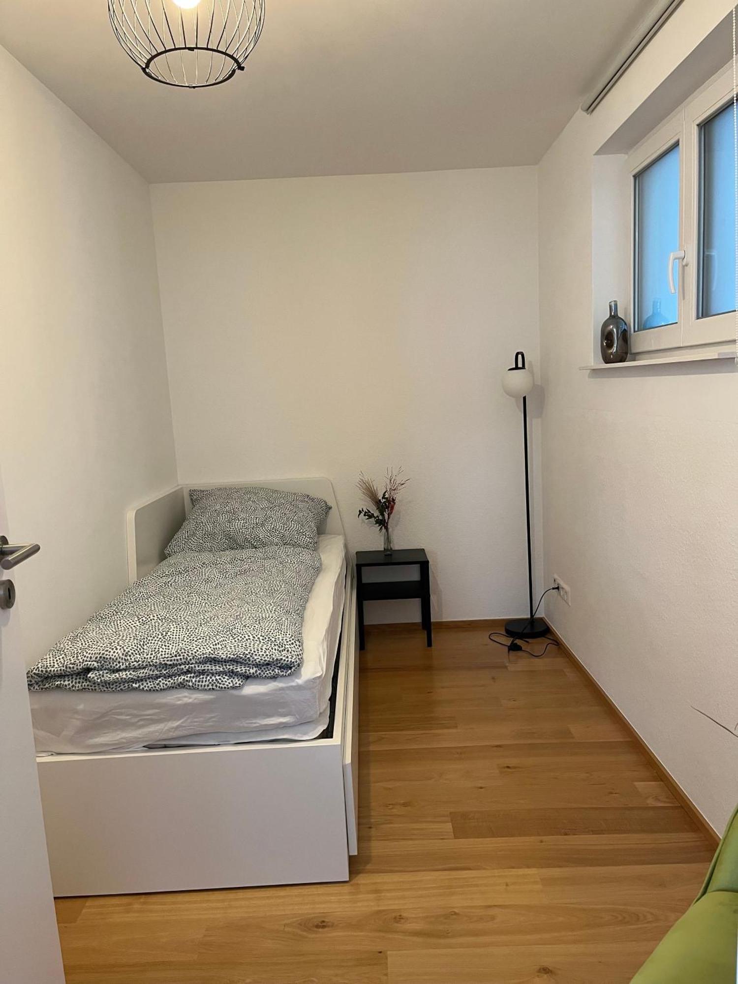 Penthouse Perfekt Fuer Teams, Familien Und Gruppen Διαμέρισμα Bad Mergentheim Εξωτερικό φωτογραφία